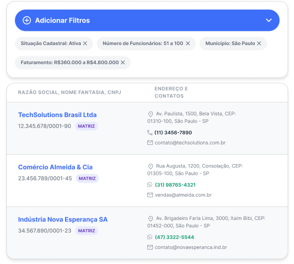 Interface de pesquisa de empresas brasileiras por CNPJ com filtros de faturamento, localização e CNAE